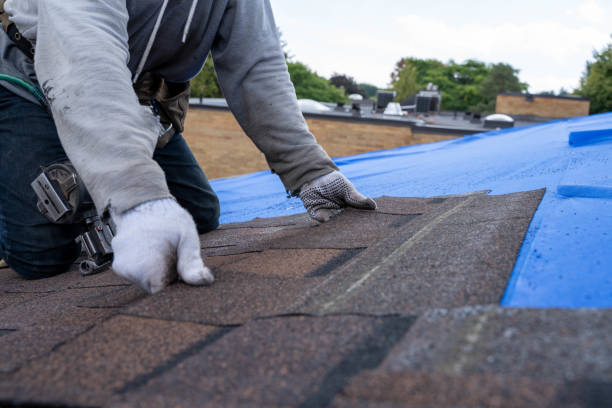 Best Slate Roofing Contractor  in Prairie City, IA